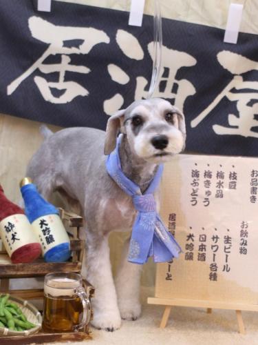 20240611りくくん